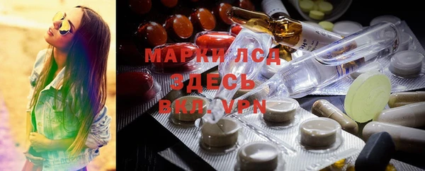 сатива Аркадак