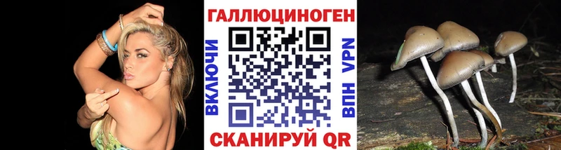 Псилоцибиновые грибы Psilocybine cubensis  сколько стоит  Котлас 