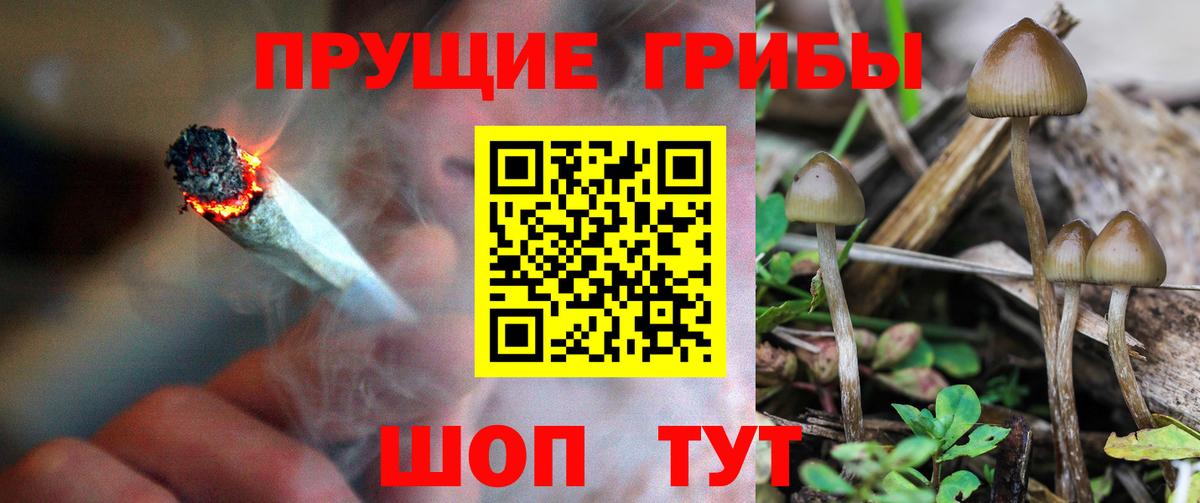 Псилоцибиновые грибы MAGIC MUSHROOMS  Вход с VPN  Котлас 